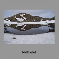 Midtfjellet