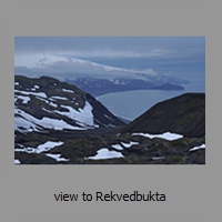 view to Rekvedbukta