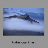 Pukkelryggen in mist